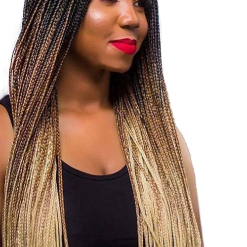 Goddessbraids assets and logo (3)